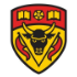 University of Limerick